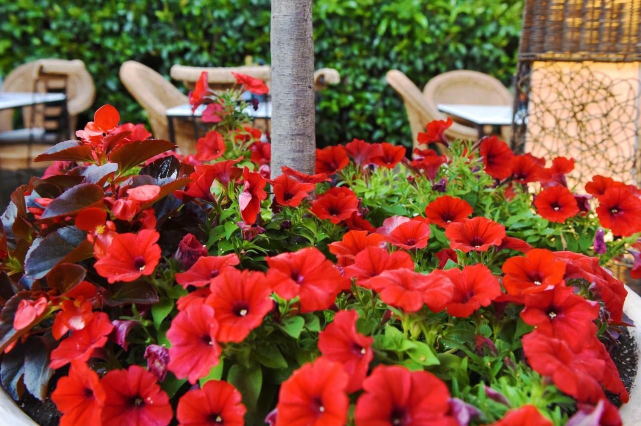 Armata Boutique Hotel Spétses Екстериор снимка